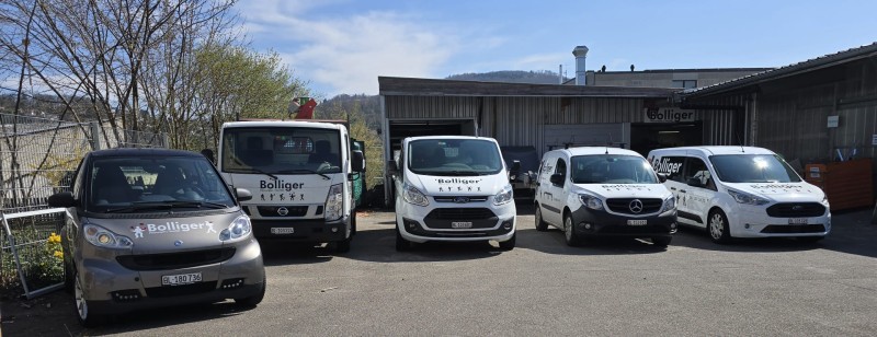 Heizung Sanierung Muttenz